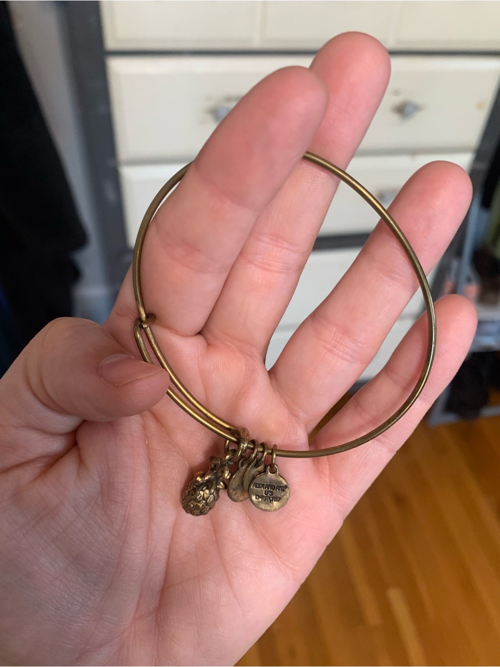 Alex & Ani Gold-Tone Adjustable Charm Bangle Bracelet